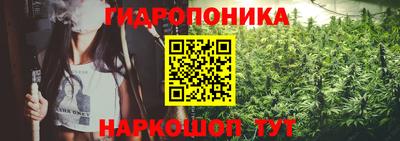 шишки Ипатово
