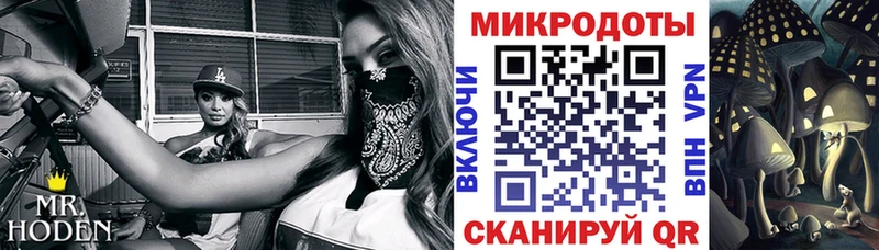Псилоцибиновые грибы мухоморы  мега зеркало  Минусинск 